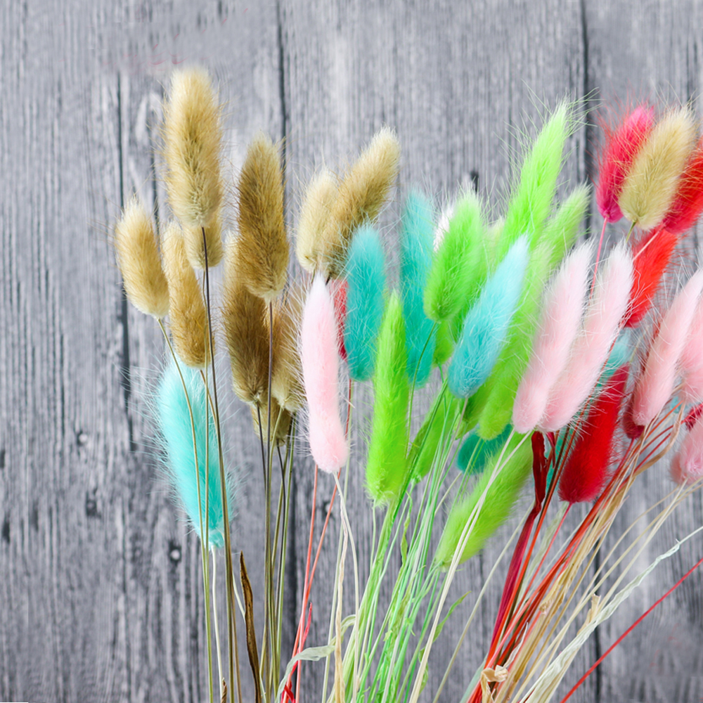 50pcs dried natural flower bou - Dried Flower Bunch review and price