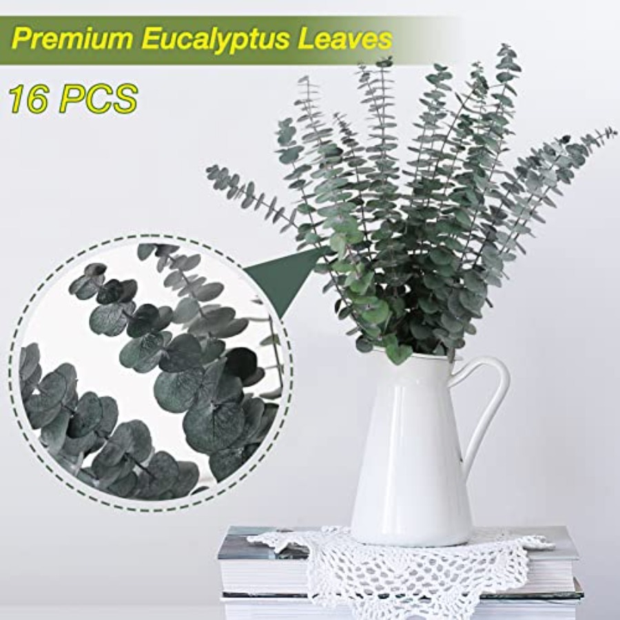 16 Pcs Preserved-Dried-Eucalyp - Dried Flower Bunch review and price