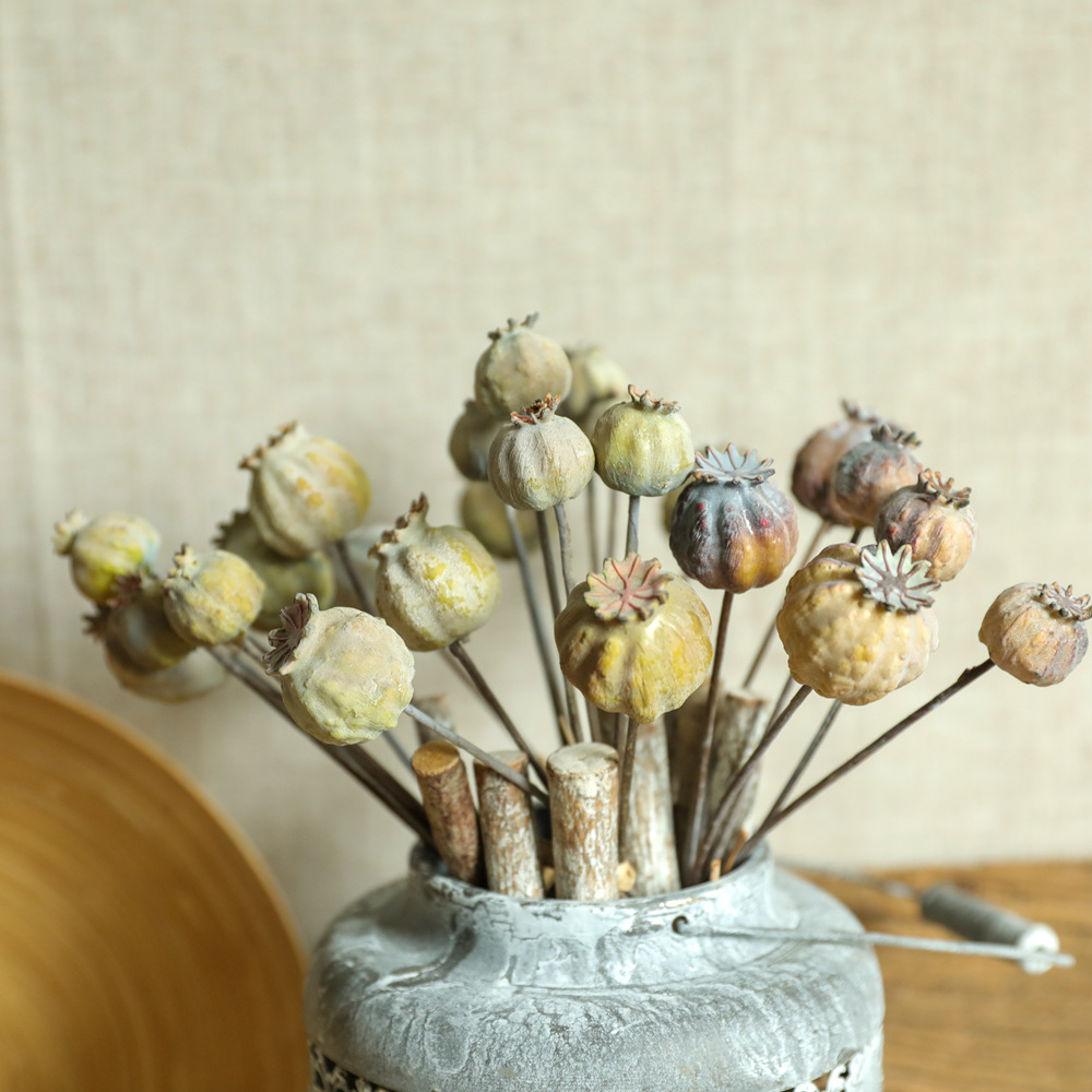 6Heads Poppies Fruit Dried Flo - Dried Flower Bunch review and price