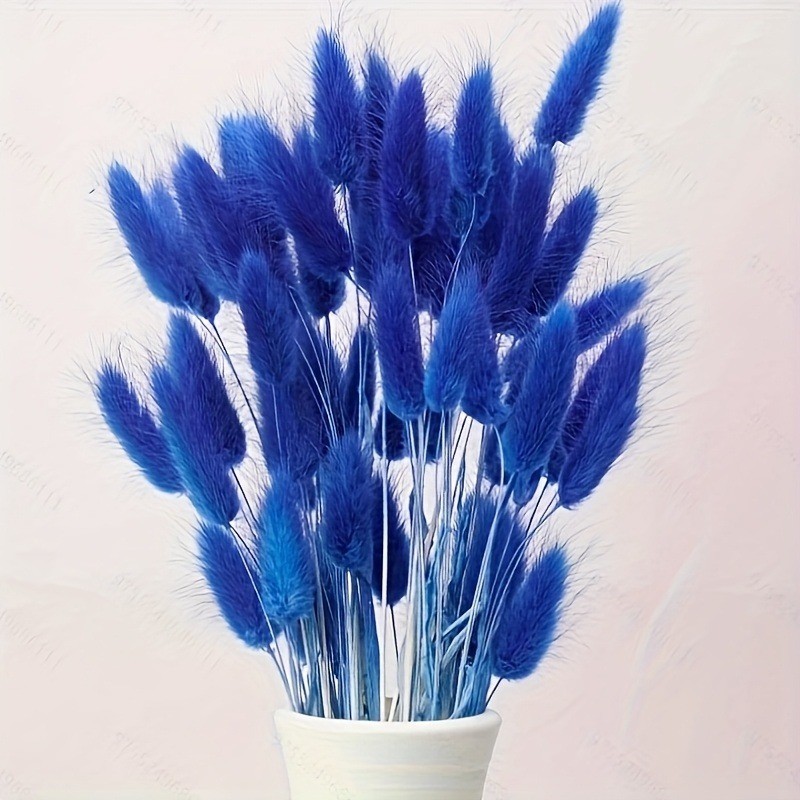 Imitation Rabbit Tails Grass D - Dried Flower Bunch review and price