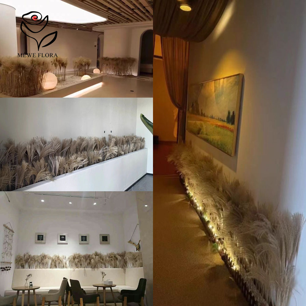 200PCS Natural Dried Fluffy Re - Eucalyptus Preserved review and price