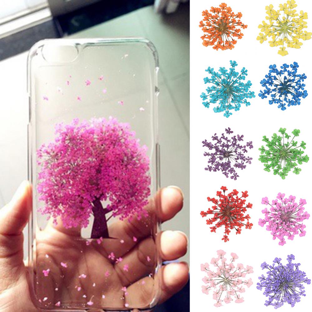 100Pcs Natural Plant Dried Flo - Dried Flower Bunch review and price
