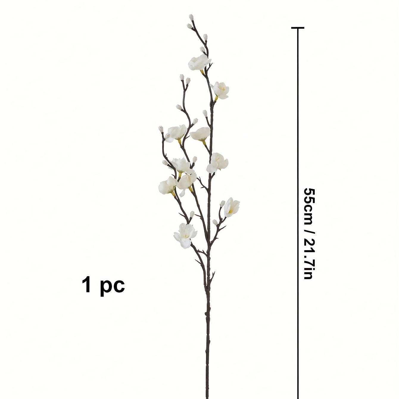5 personal flower yellow plum  - Eucalyptus Preserved review and price