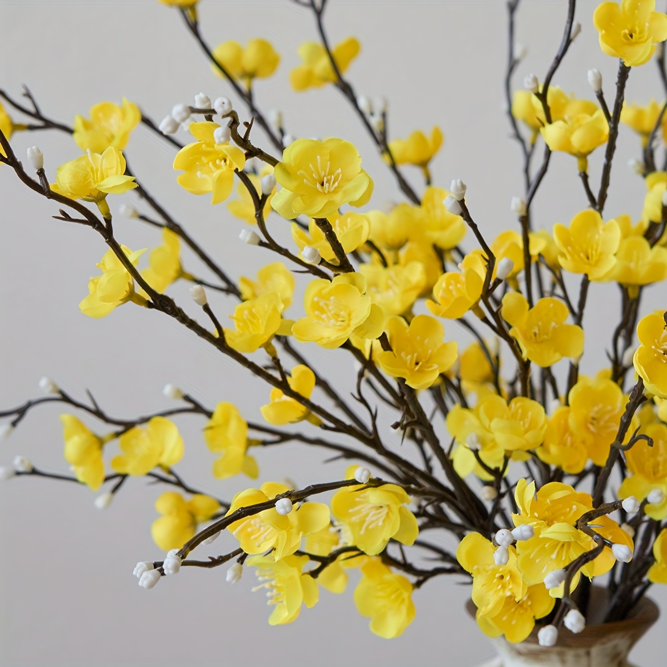 5 personal flower yellow plum  - Eucalyptus Preserved review and price
