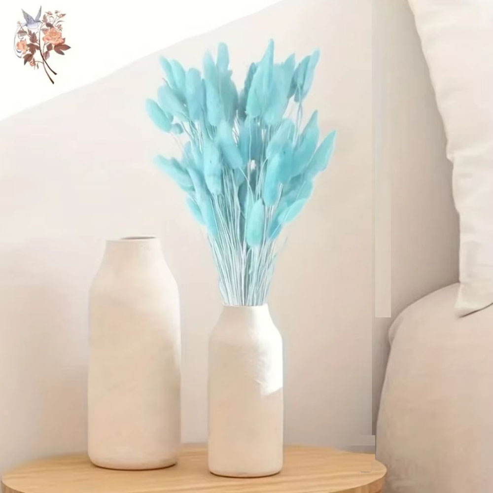 100Pcs Natural Rabbit Tails Gr - Dried Flower Bunch review and price