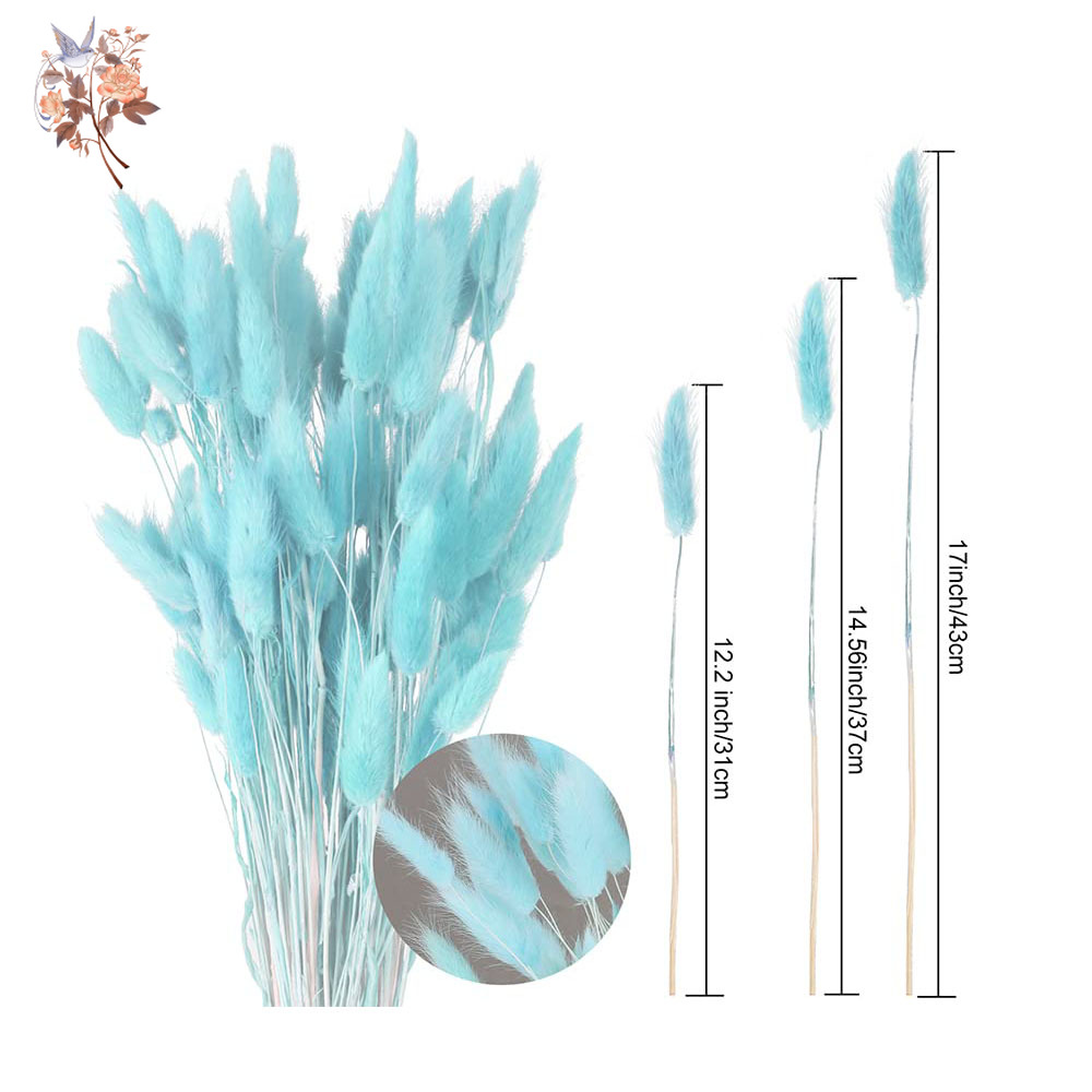 100Pcs Natural Rabbit Tails Gr - Dried Flower Bunch review and price