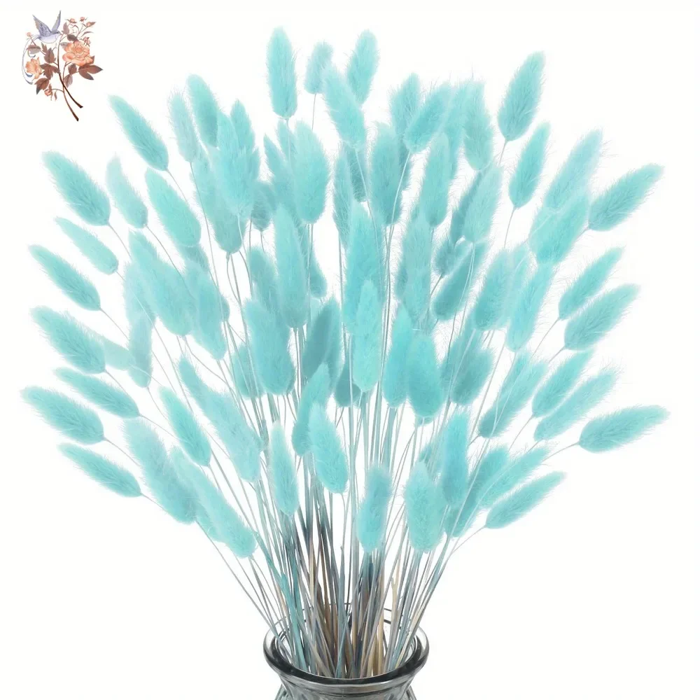 100Pcs Natural Rabbit Tails Gr - Dried Flower Bunch review and price