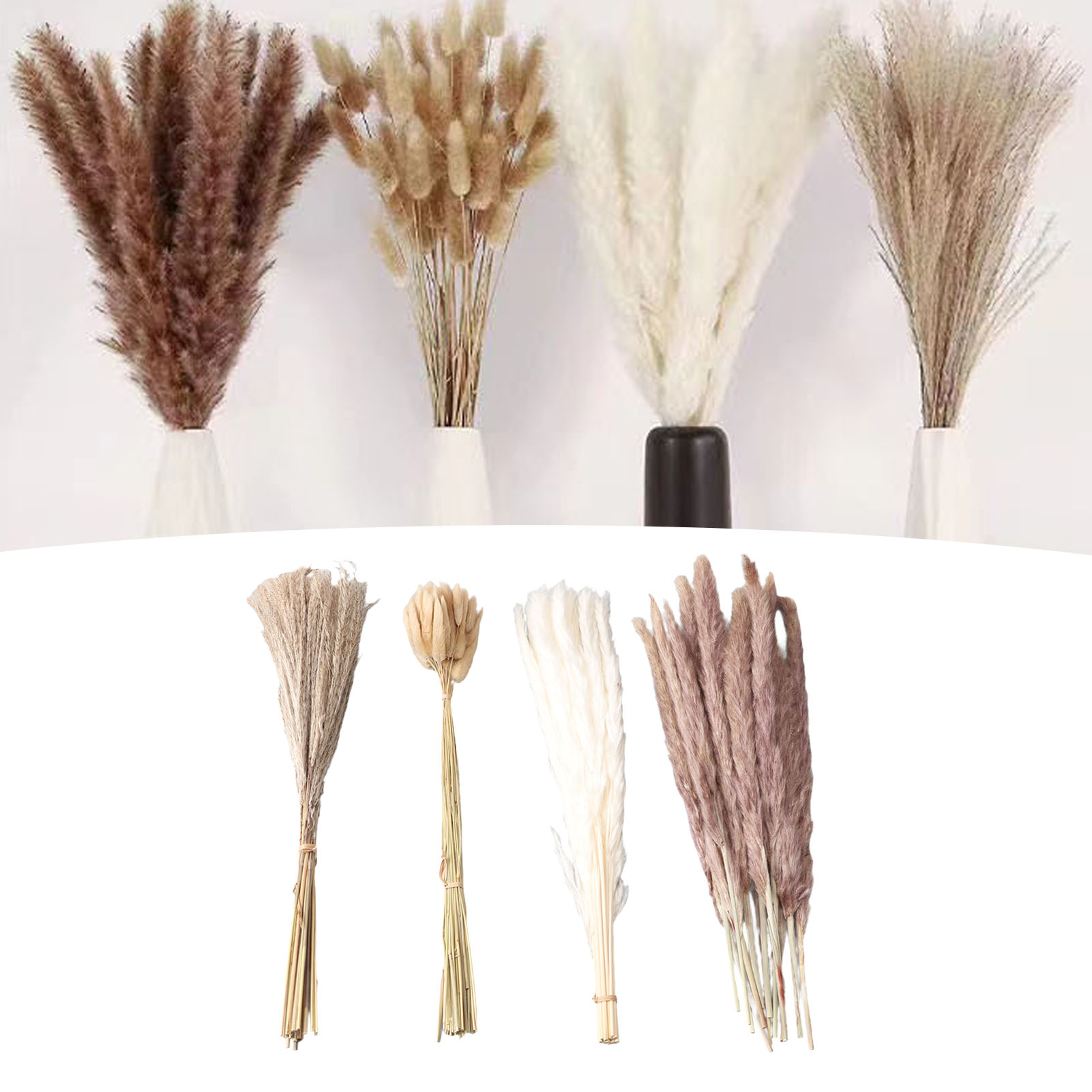 Natural Dried Pampas Grass Flu - Eucalyptus Preserved review and price