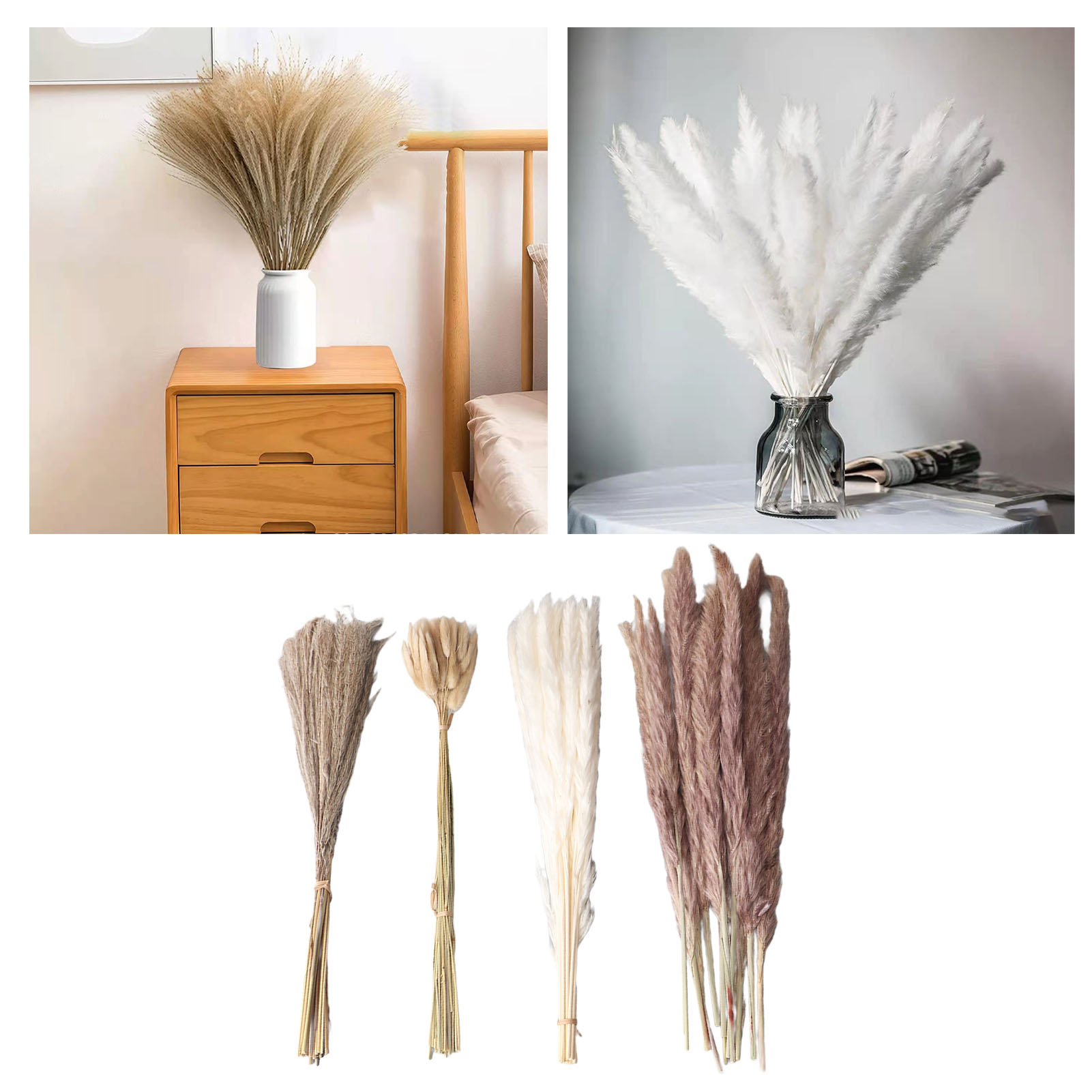 Natural Dried Pampas Grass Flu - Eucalyptus Preserved review and price