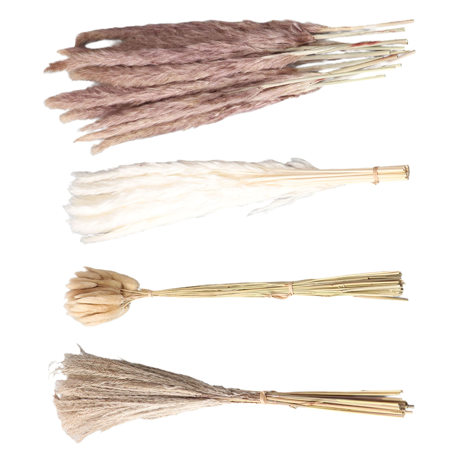 Natural Dried Pampas Grass Flu - Eucalyptus Preserved review and price
