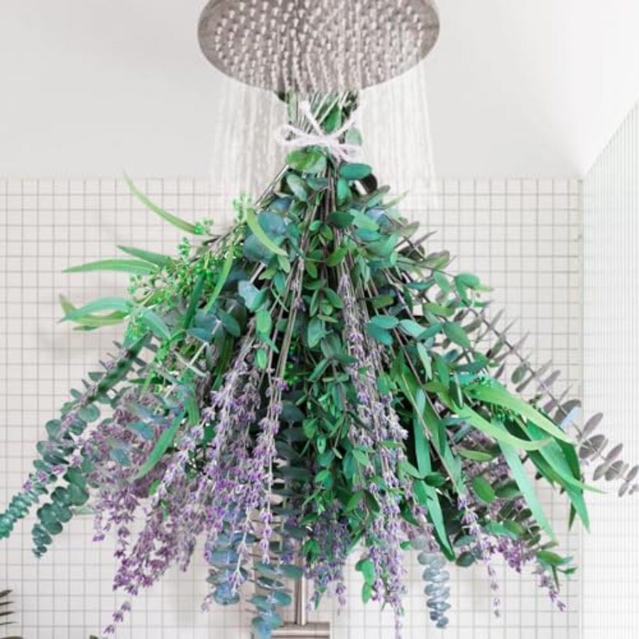 65 Pcs Mix Dried Eucalyptus St - Eucalyptus Preserved review and price
