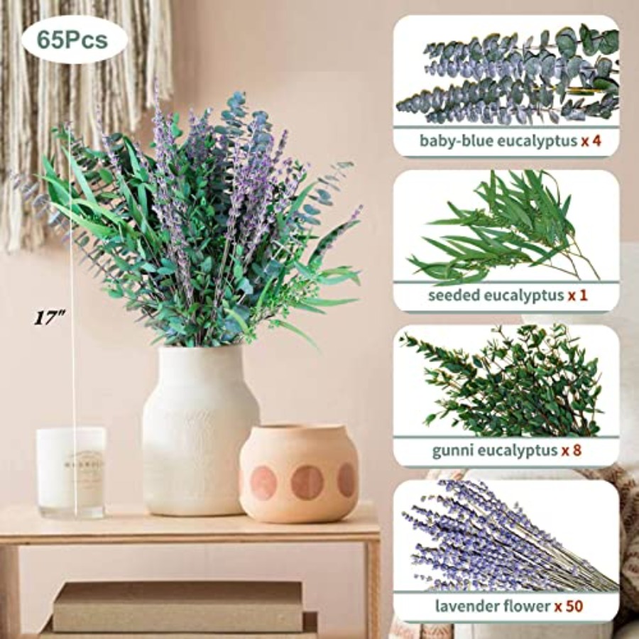 65 Pcs Mix Dried Eucalyptus St - Eucalyptus Preserved review and price
