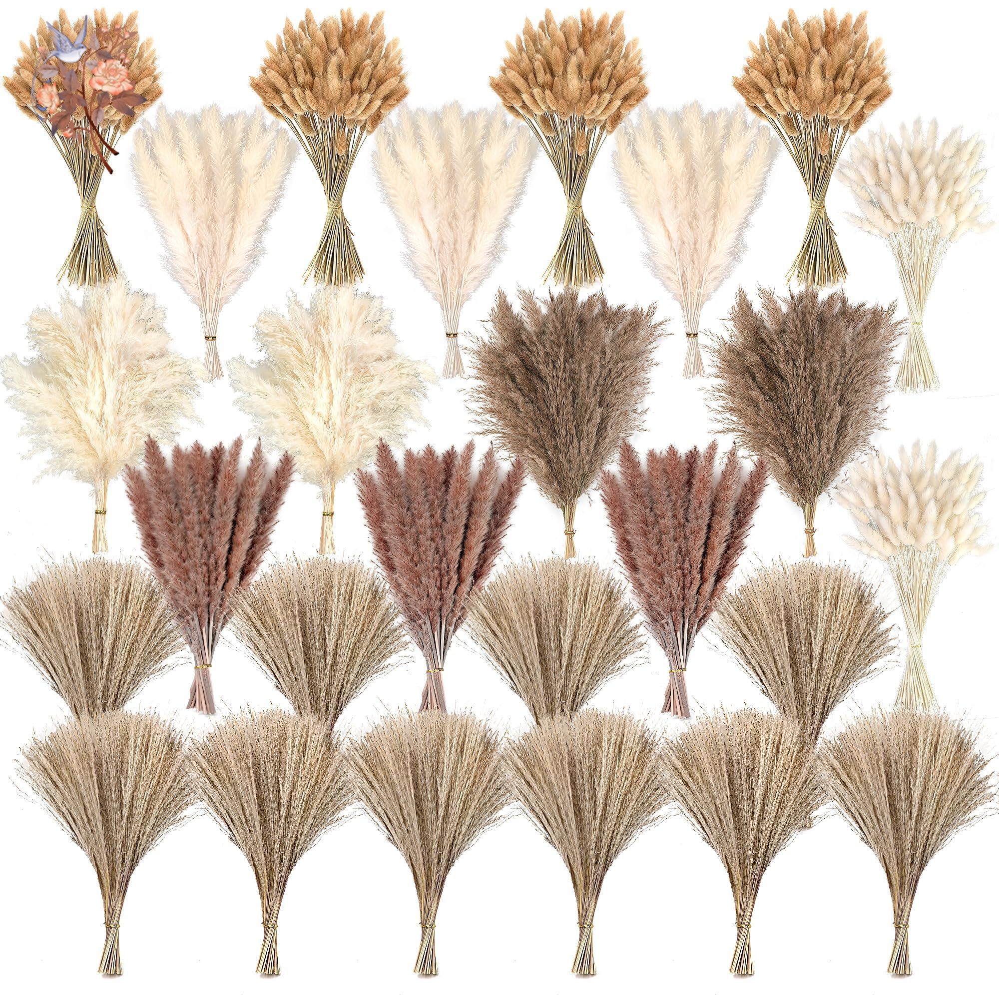 300Pcs Natural Large Pampas Gr - Eucalyptus Preserved review and price