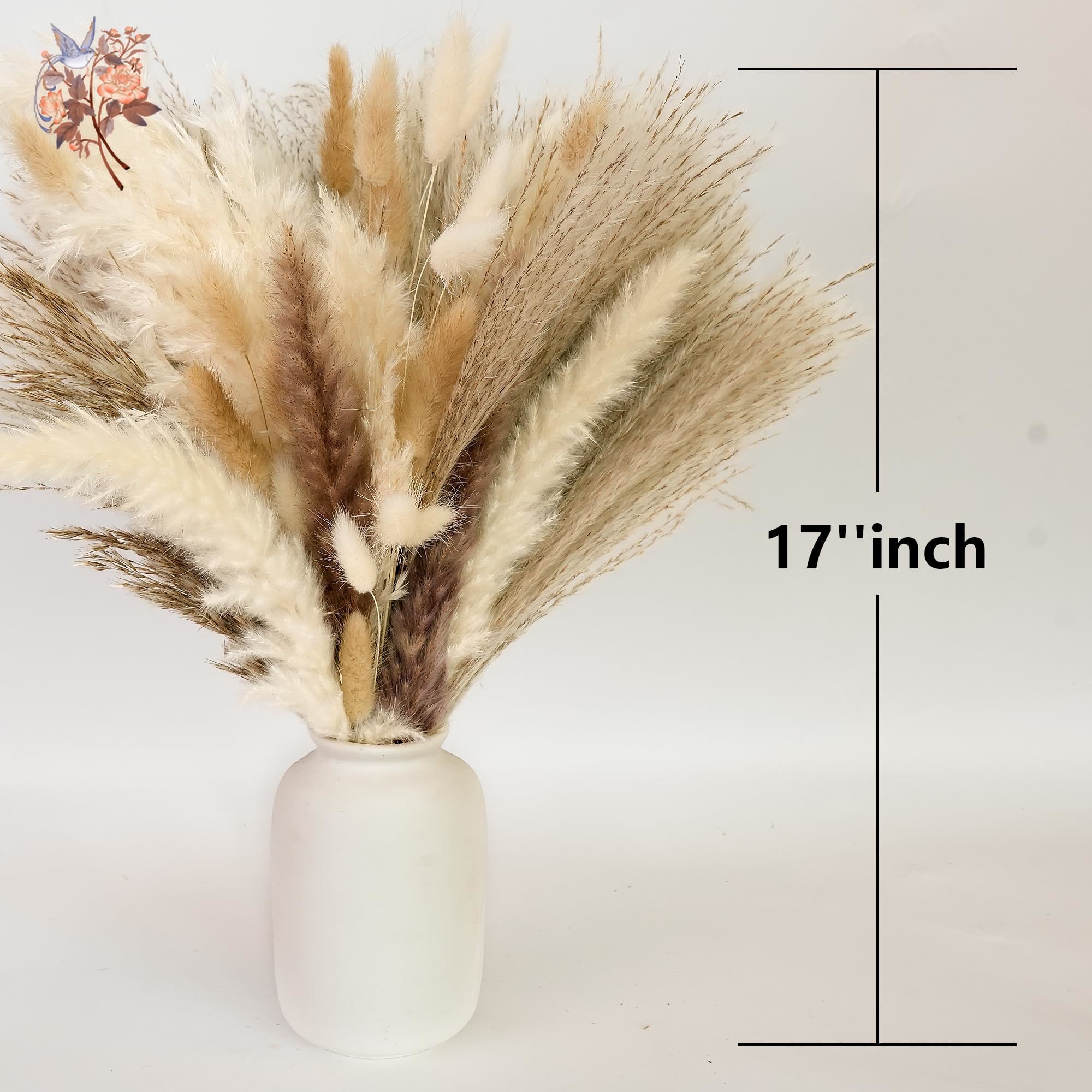 300Pcs Natural Large Pampas Gr - Eucalyptus Preserved review and price