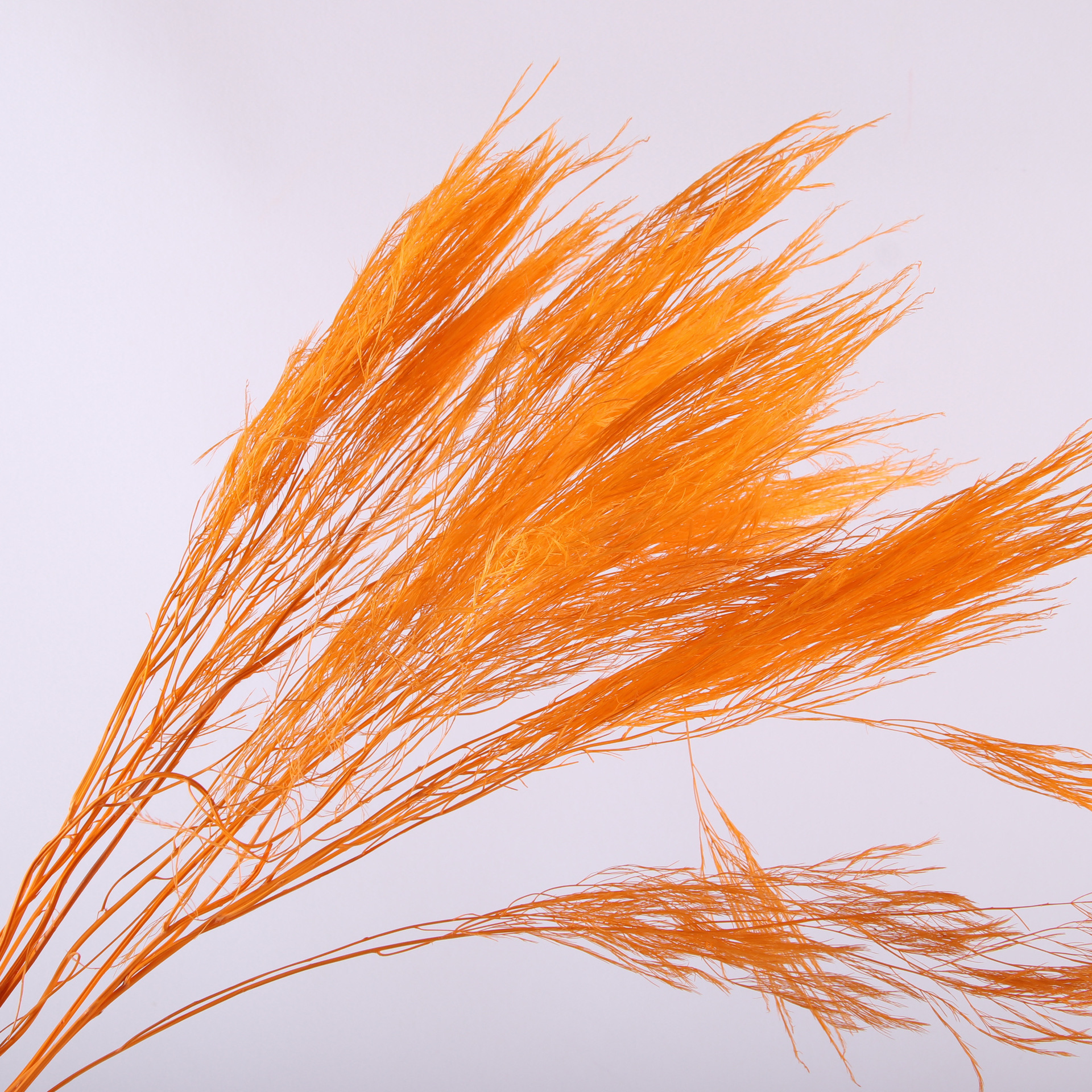 10pcs/bunch Dried Flower Bouqu - Dried Flower Bunch review and price