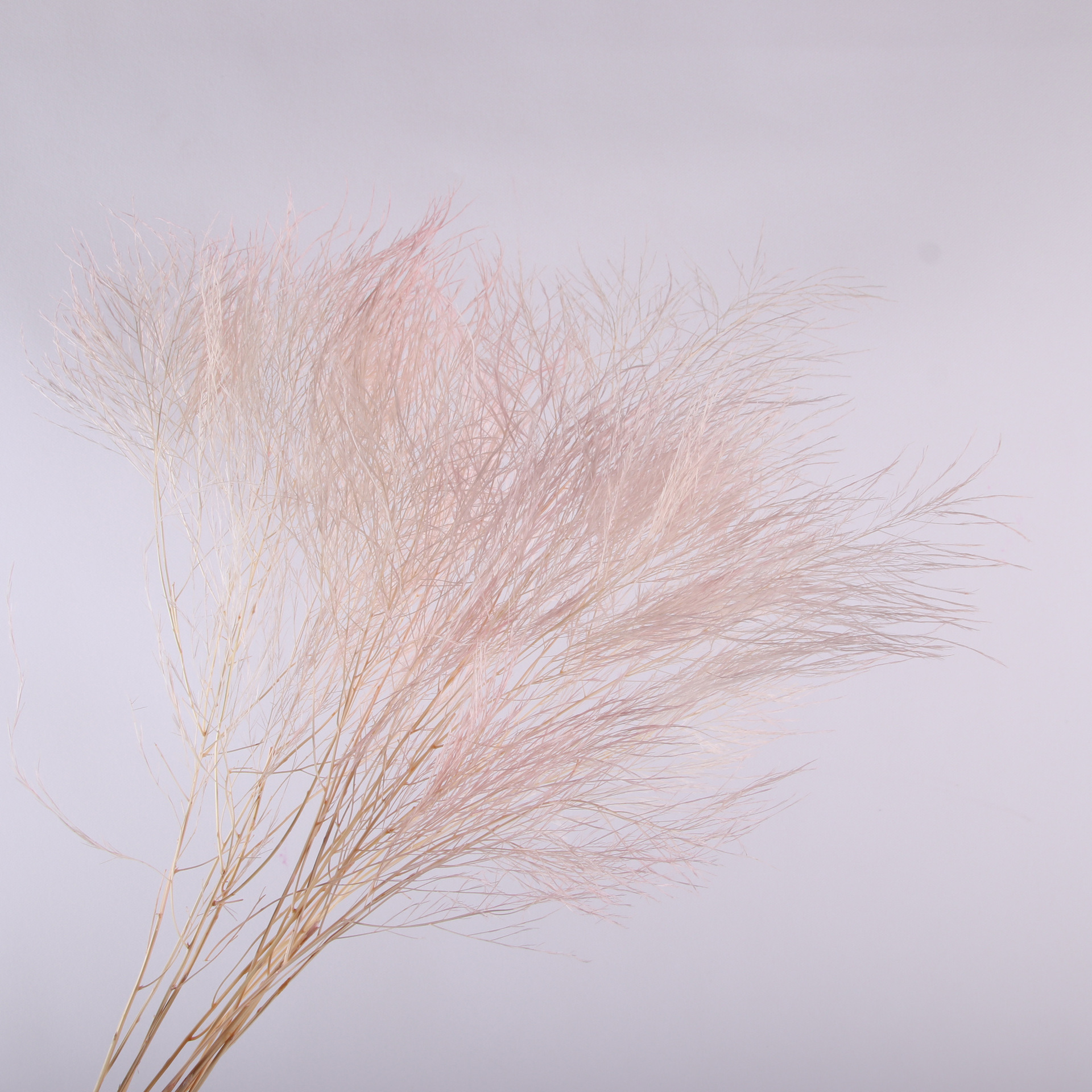 10pcs/bunch Dried Flower Bouqu - Dried Flower Bunch review and price