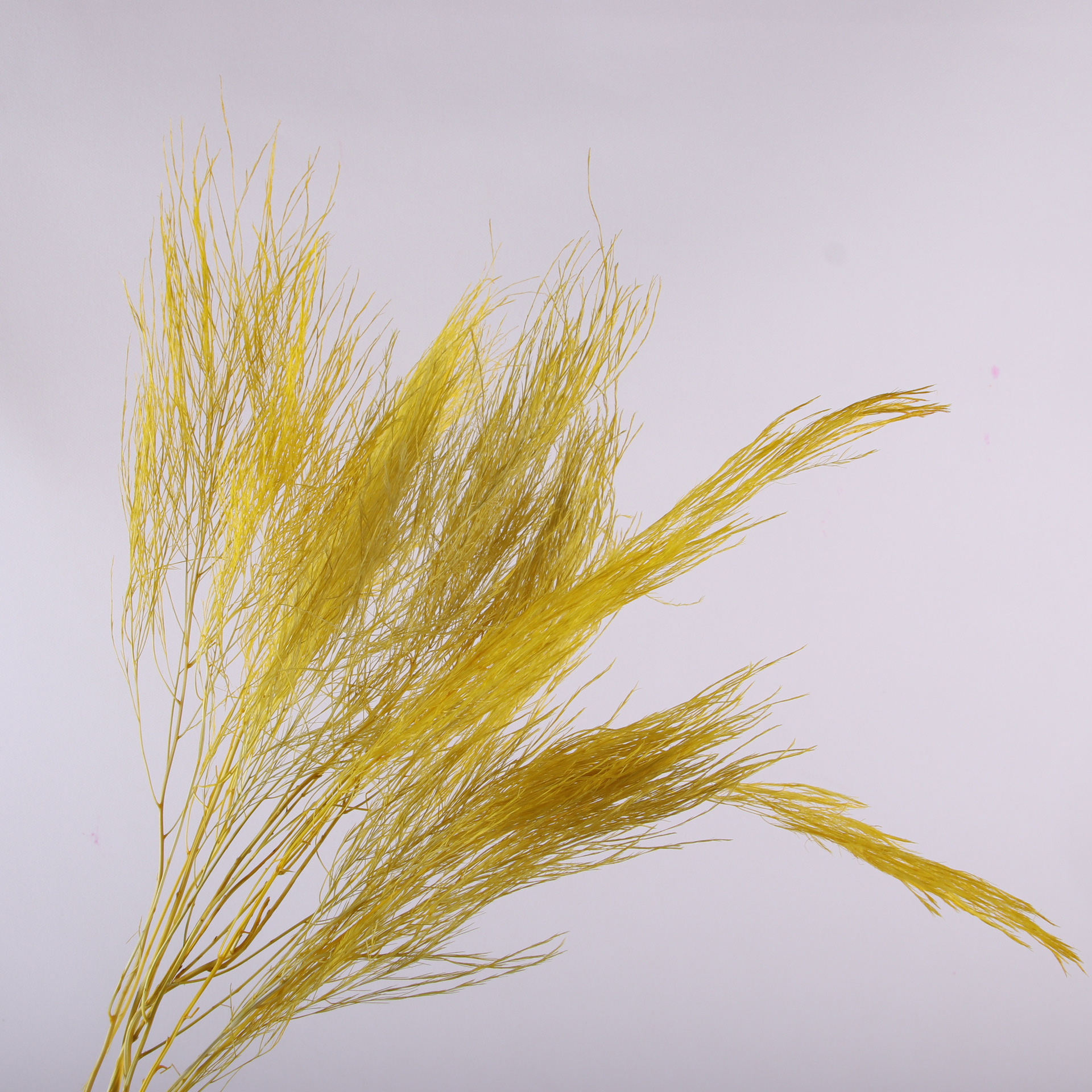 10pcs/bunch Dried Flower Bouqu - Dried Flower Bunch review and price