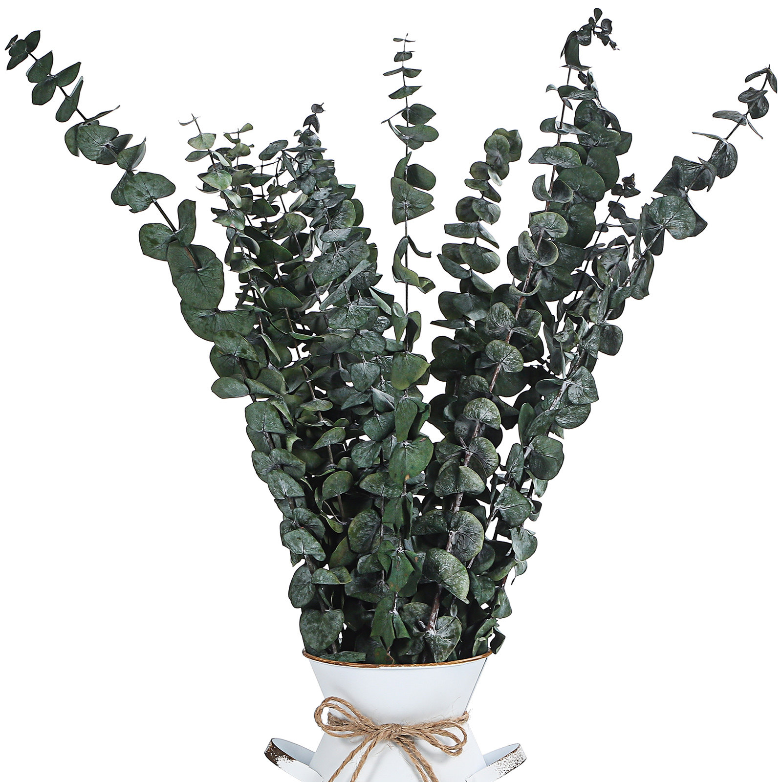 20 Pcs Eucalyptus Leaves Green - Eucalyptus Preserved review and price