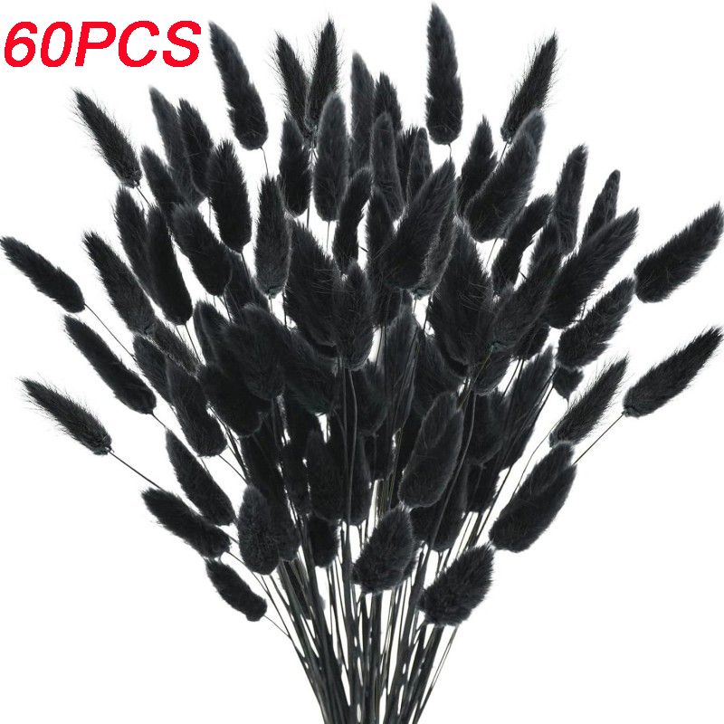 Natural Rabbit Tails Grass Dri - Dried Flower Bunch review and price